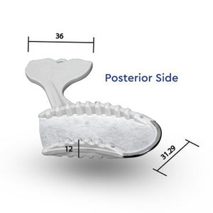 posterior_side