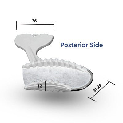 posterior_side