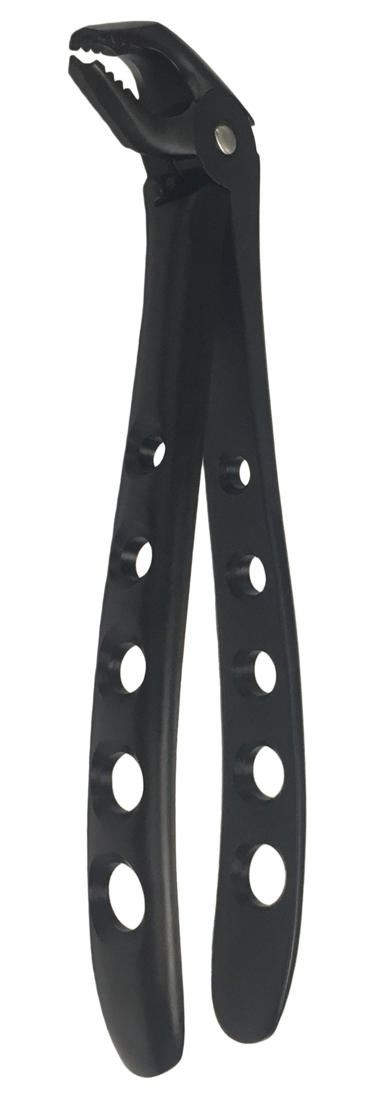 Banditt Xtra Forceps Lower Molar Ash Pattern #7301XG by A-Titan Instruments