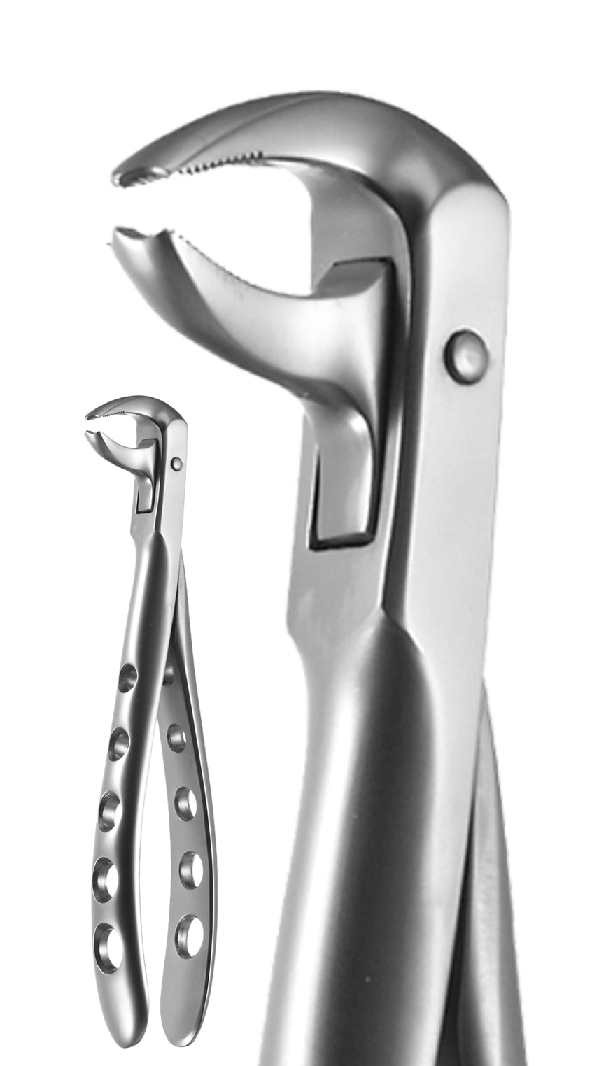 X-Trac Forceps Lower Molar- Ash Pattern #7301 by A-Titan Instruments