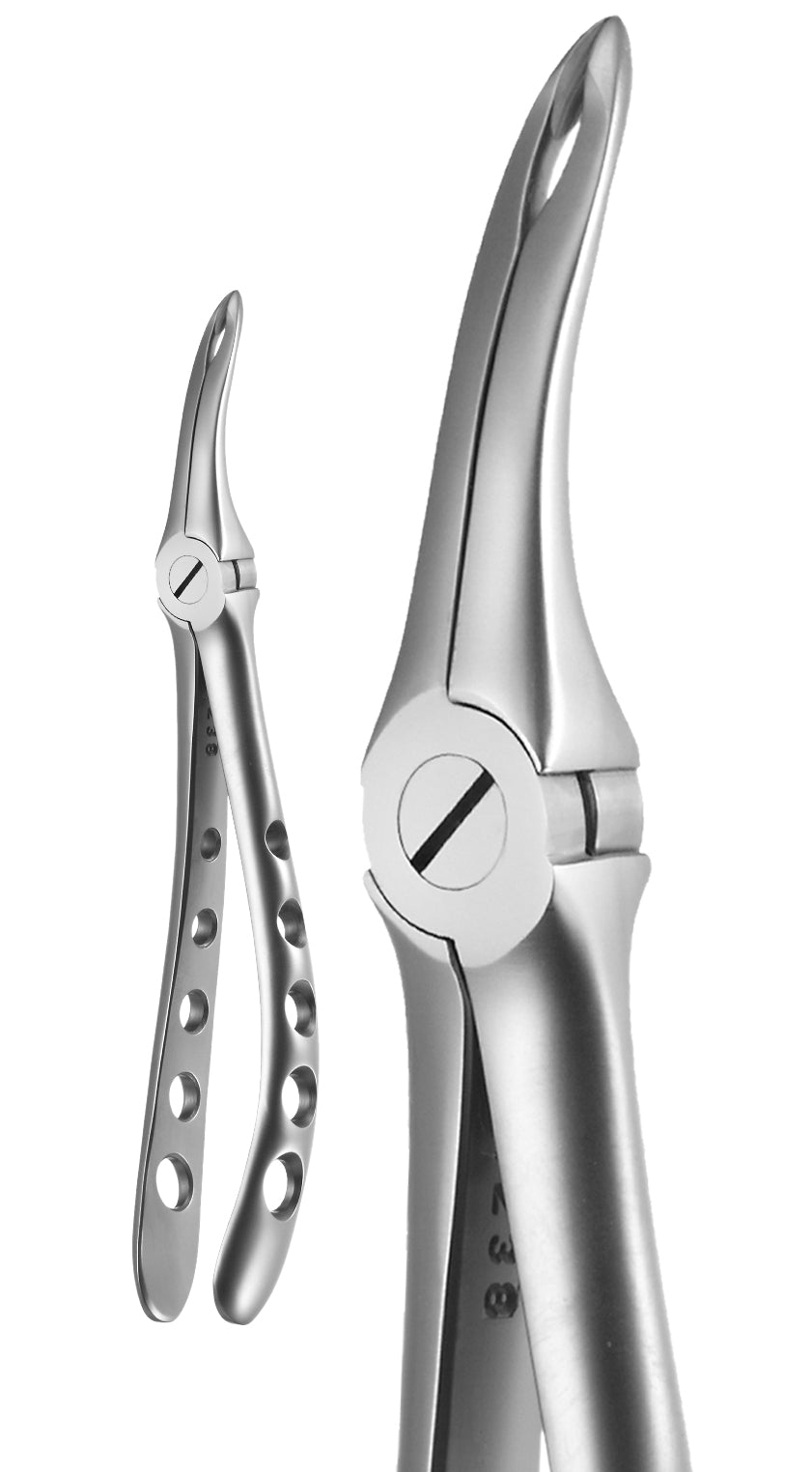 X-Trac Forceps Universal Root #4415 by A-Titan Instruments