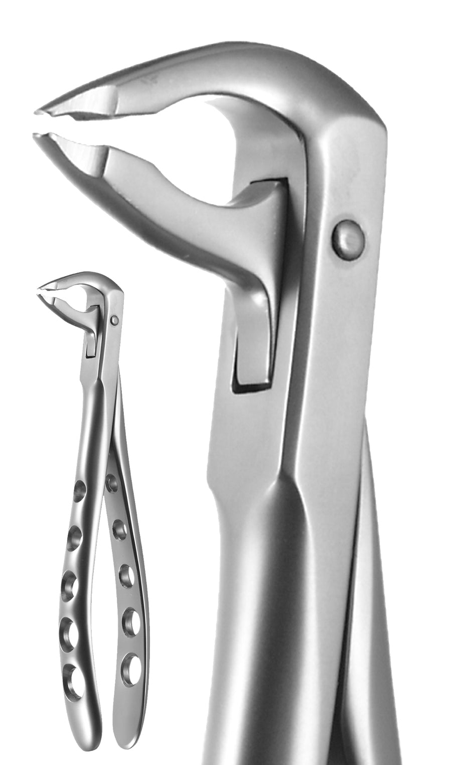 X-Trac Forceps Lower Anterior, Notched Beaks #3600 by A-Titan Instruments