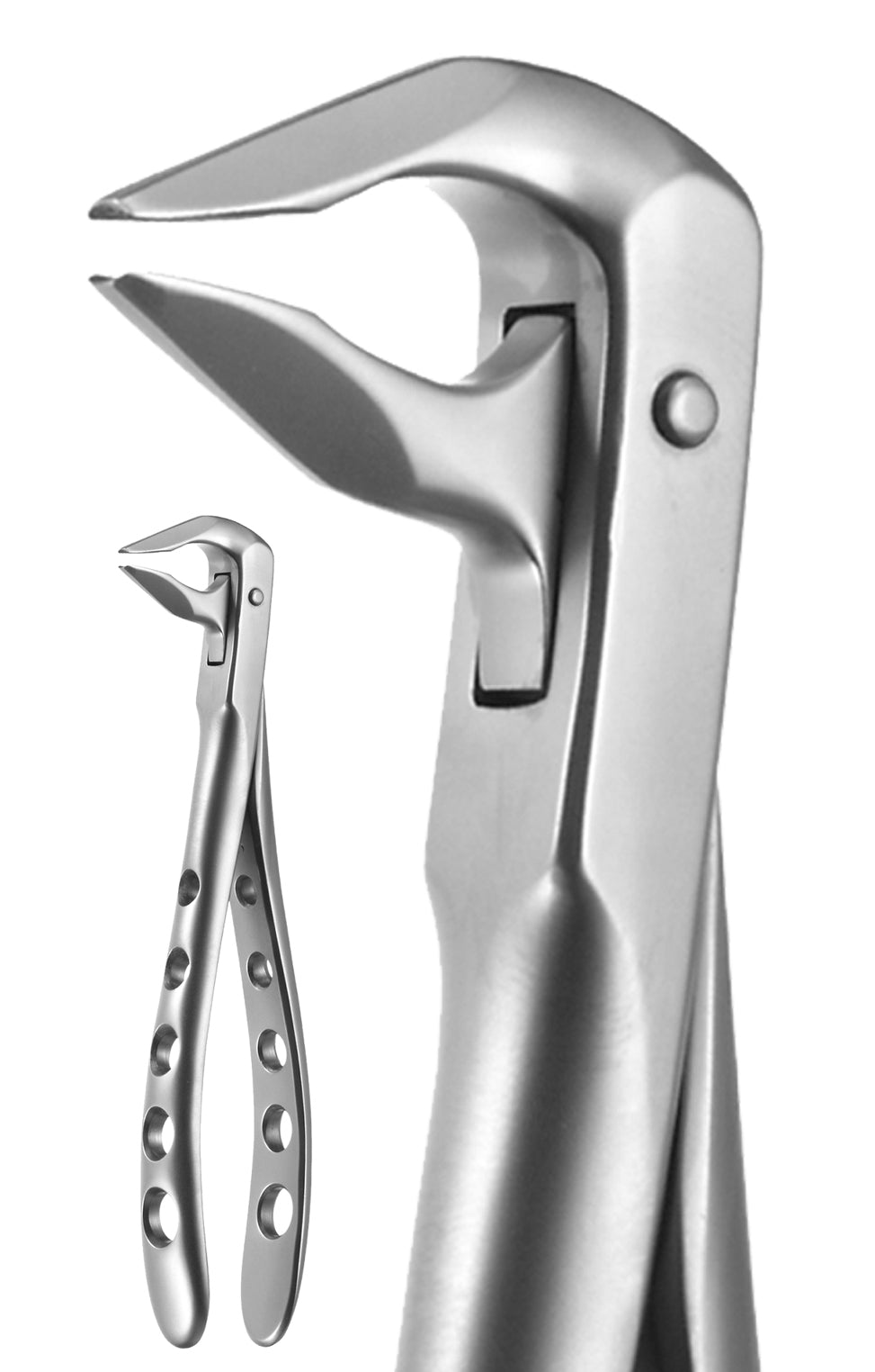 X-Trac Forceps Lower Anterior - Beveled Beaks #3608 by A-Titan Instruments
